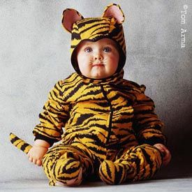 bebe tigre